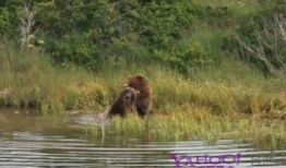 做爱视频全过程,一场禁忌之爱的私密旅程